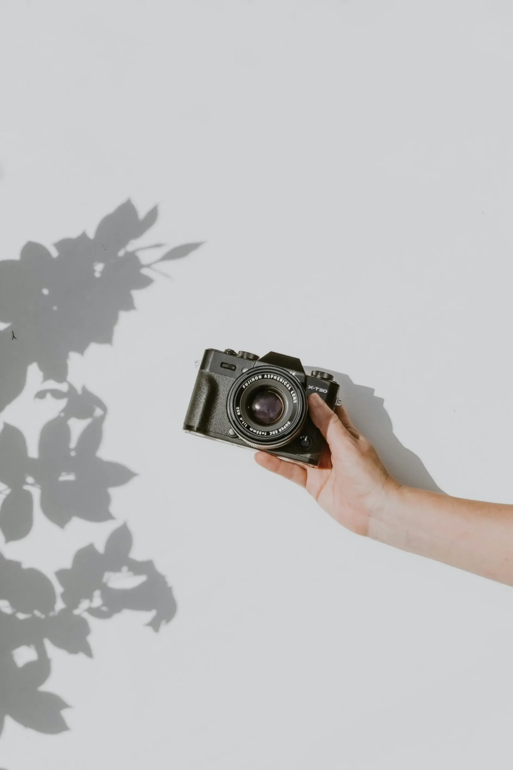 Photographe vidéaste Toulouse